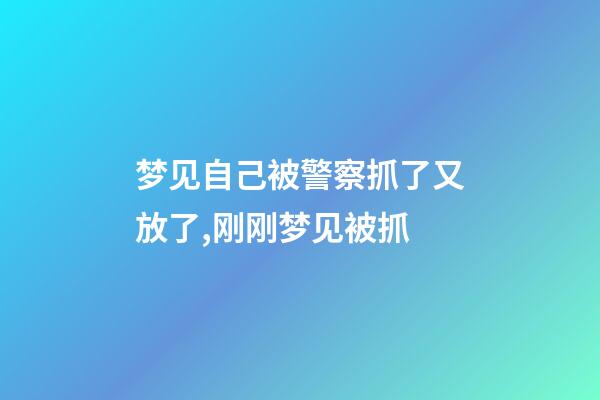 梦见自己被警察抓了又放了,刚刚梦见被抓-第1张-观点-玄机派