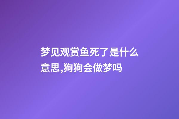 梦见观赏鱼死了是什么意思,狗狗会做梦吗-第1张-观点-玄机派