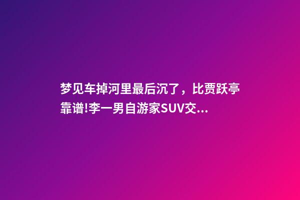 梦见车掉河里最后沉了，比贾跃亭靠谱!李一男自游家SUV交付失败退款+补偿-第1张-观点-玄机派