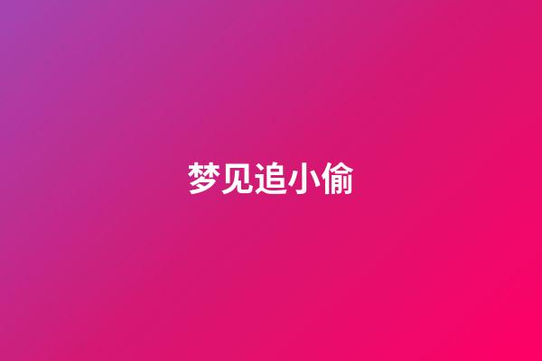 梦见追小偷