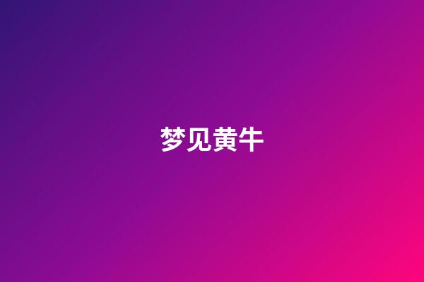 梦见黄牛