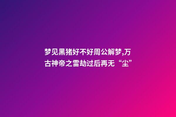梦见黑猪好不好周公解梦,万古神帝之雷劫过后再无“尘”-第1张-观点-玄机派