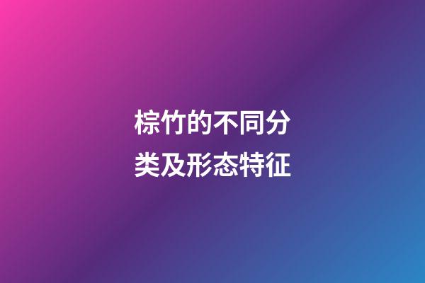 棕竹的不同分类及形态特征