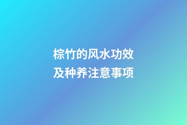 棕竹的风水功效及种养注意事项