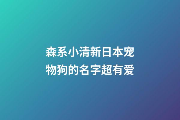 森系小清新日本宠物狗的名字超有爱