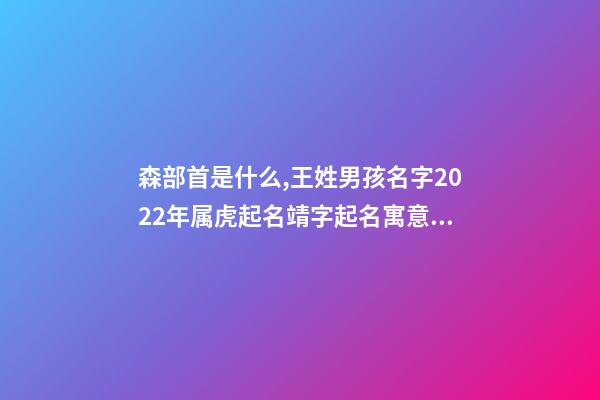 森部首是什么,王姓男孩名字2022年属虎起名靖字起名寓意蒸蒸日上的名字-第1张-观点-玄机派