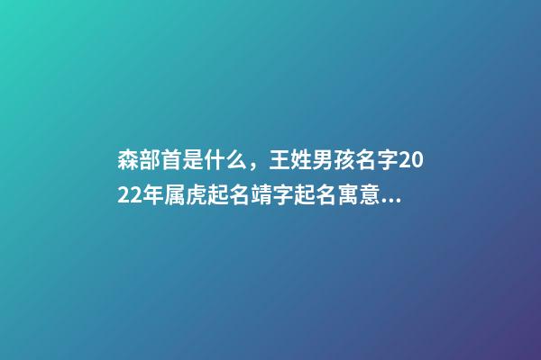 森部首是什么，王姓男孩名字2022年属虎起名靖字起名寓意蒸蒸日上的名字-第1张-观点-玄机派