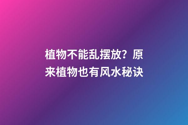 植物不能乱摆放？原来植物也有风水秘诀