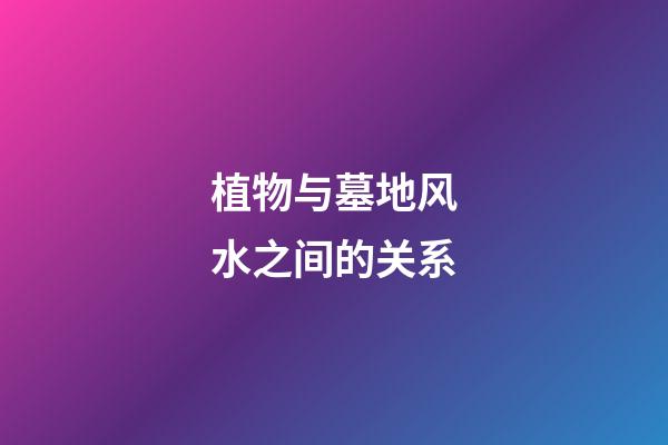 植物与墓地风水之间的关系