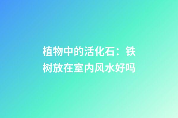 植物中的活化石：铁树放在室内风水好吗