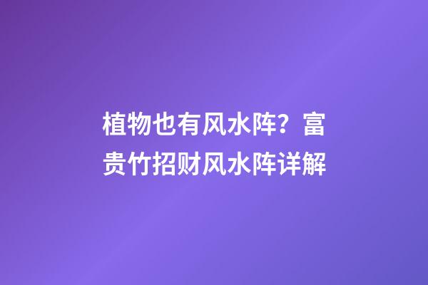 植物也有风水阵？富贵竹招财风水阵详解