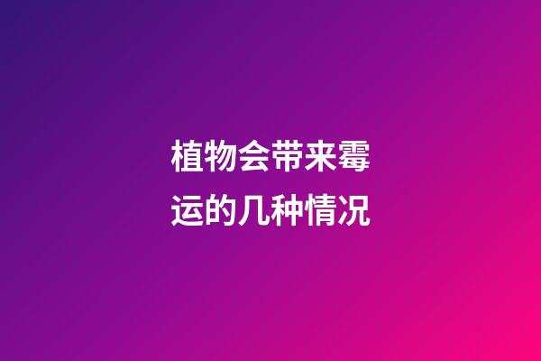 植物会带来霉运的几种情况