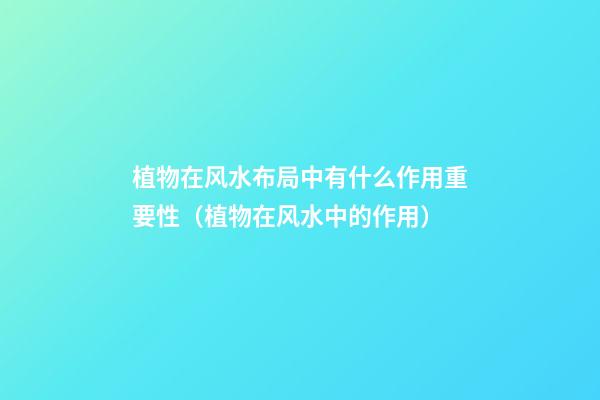 植物在风水布局中有什么作用重要性（植物在风水中的作用）