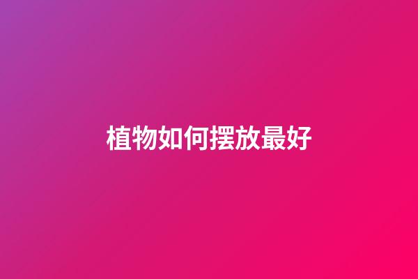 植物如何摆放最好
