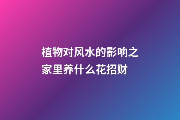 植物对风水的影响之家里养什么花招财