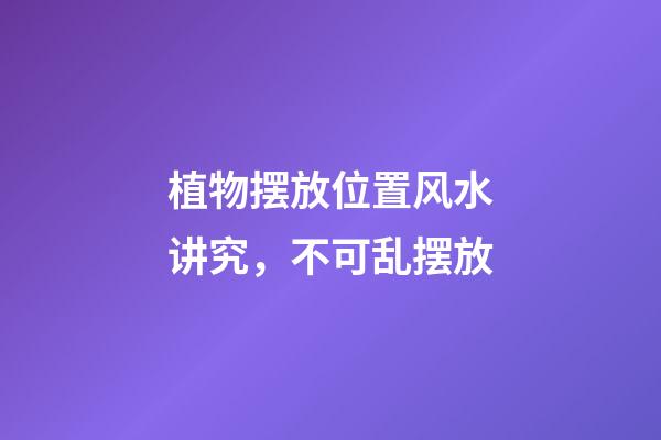 植物摆放位置风水讲究，不可乱摆放