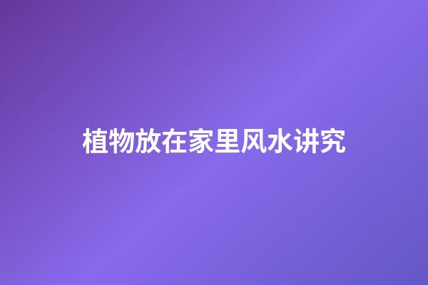植物放在家里风水讲究