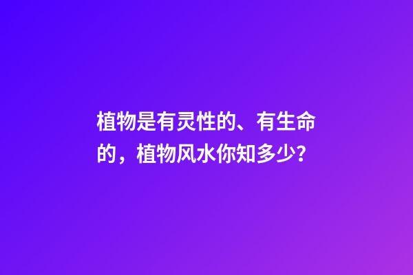 植物是有灵性的、有生命的，植物风水你知多少？