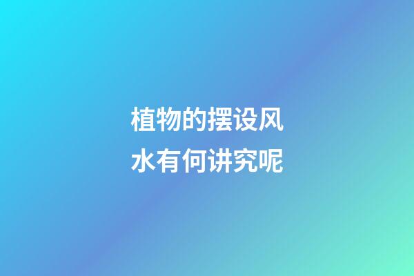 植物的摆设风水有何讲究呢