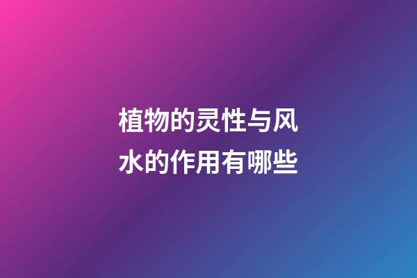 植物的灵性与风水的作用有哪些?