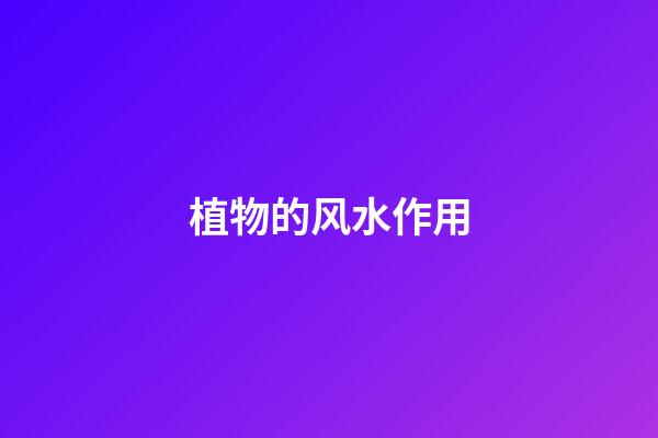 植物的风水作用