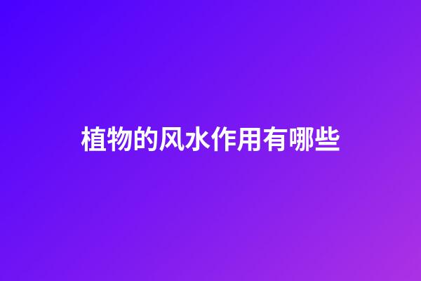 植物的风水作用有哪些