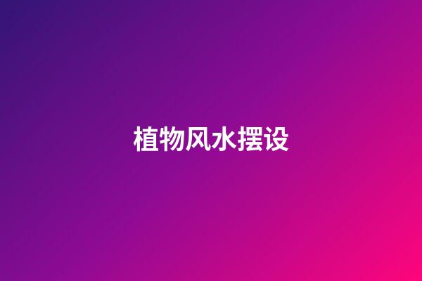 植物风水摆设