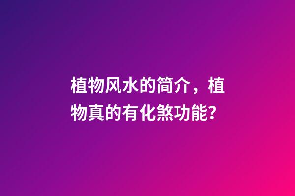 植物风水的简介，植物真的有化煞功能？