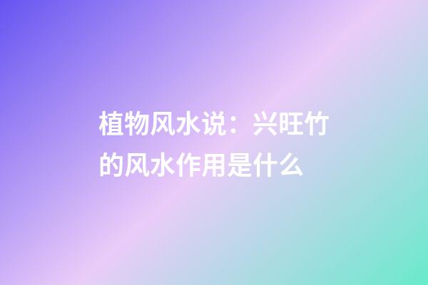 植物风水说：兴旺竹的风水作用是什么