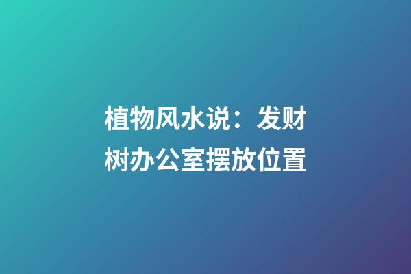 植物风水说：发财树办公室摆放位置