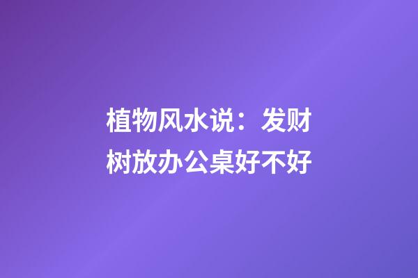 植物风水说：发财树放办公桌好不好