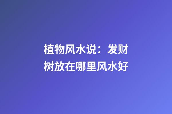 植物风水说：发财树放在哪里风水好
