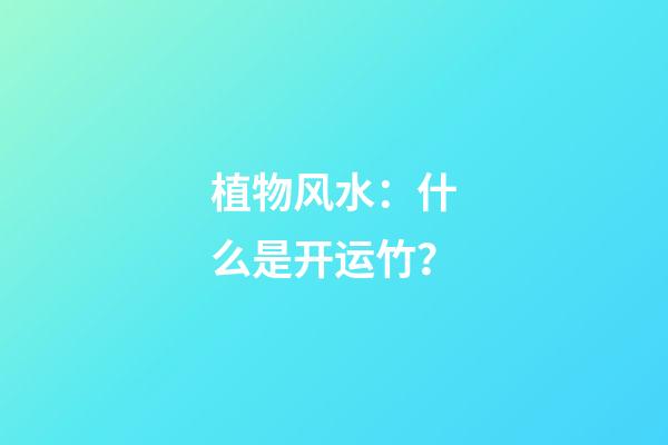 植物风水：什么是开运竹？