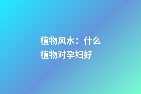 植物风水：什么植物对孕妇好