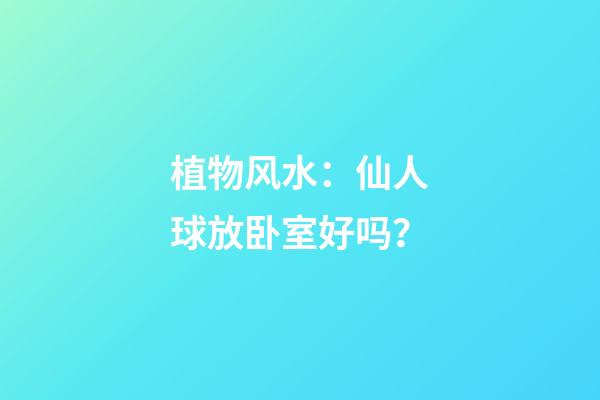 植物风水：仙人球放卧室好吗？