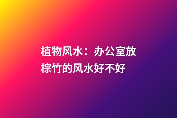 植物风水：办公室放棕竹的风水好不好