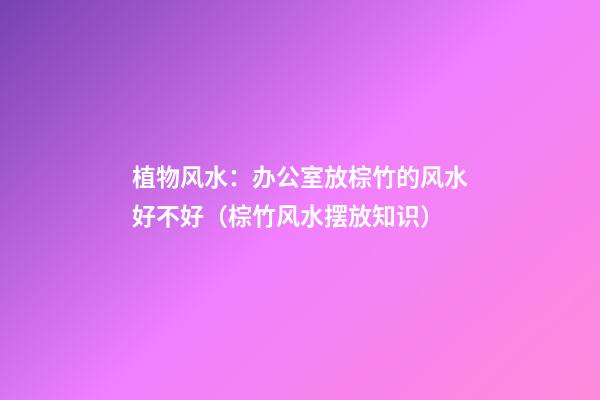 植物风水：办公室放棕竹的风水好不好（棕竹风水摆放知识）