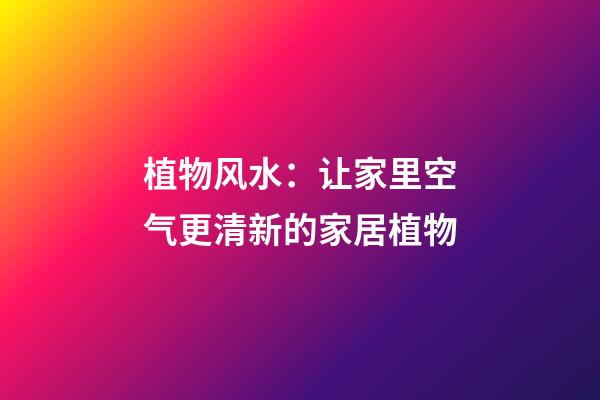 植物风水：让家里空气更清新的家居植物