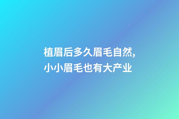 植眉后多久眉毛自然,小小眉毛也有大产业-第1张-观点-玄机派