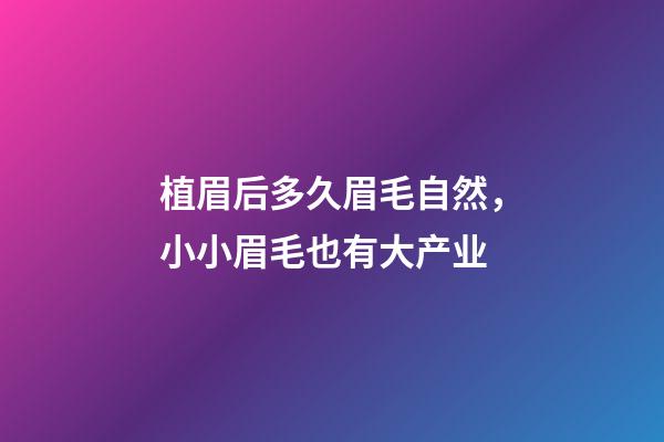 植眉后多久眉毛自然，小小眉毛也有大产业-第1张-观点-玄机派