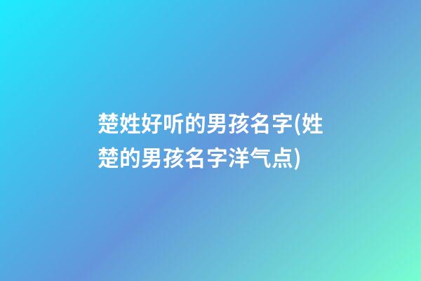 楚姓好听的男孩名字(姓楚的男孩名字洋气点)