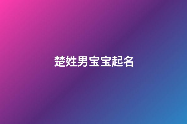 楚姓男宝宝起名