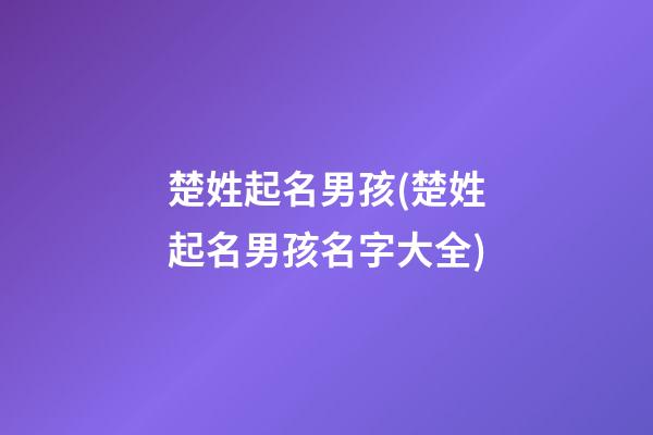 楚姓起名男孩(楚姓起名男孩名字大全)