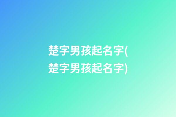 楚字男孩起名字(楚字男孩起名字)