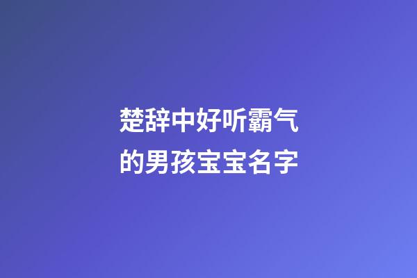 楚辞中好听霸气的男孩宝宝名字