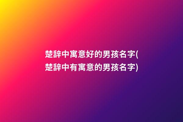 楚辞中寓意好的男孩名字(楚辞中有寓意的男孩名字)