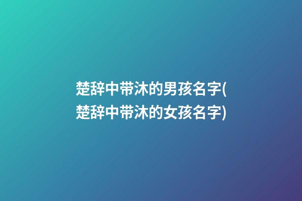 楚辞中带沐的男孩名字(楚辞中带沐的女孩名字)