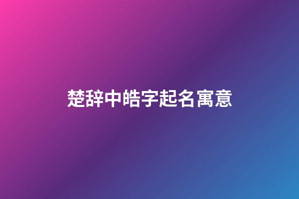 楚辞中皓字起名寓意