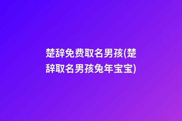 楚辞免费取名男孩(楚辞取名男孩兔年宝宝)