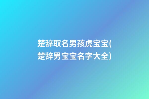 楚辞取名男孩虎宝宝(楚辞男宝宝名字大全)
